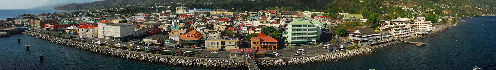 Roseau