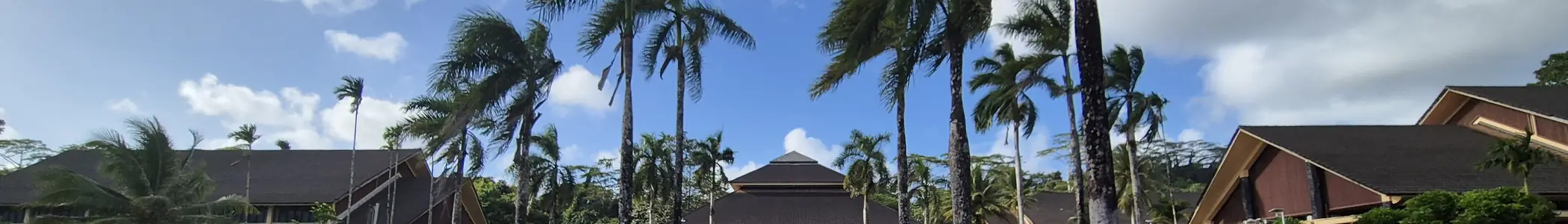 Palikir
